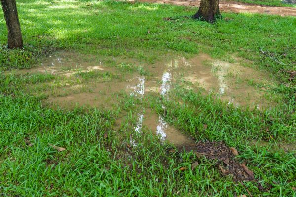 Storm Water Drainage Service in Bellingham