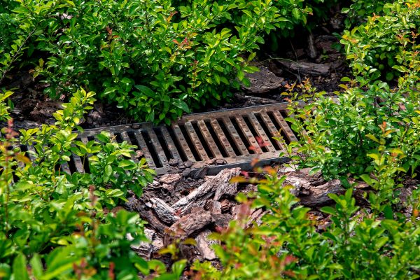 Underground Drainage Service in Bellingham