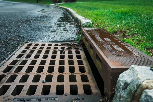 Cost of Rainwater Diversion in Bellingham