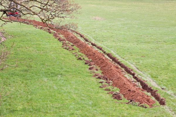 Cost of Swale Installation in Bellingham