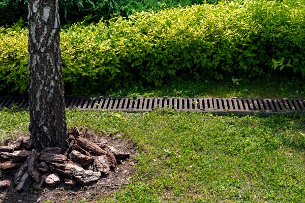 Garden Drainage Installation in Bellingham