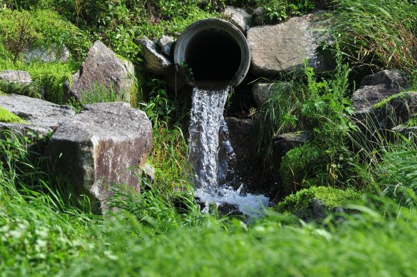 Water Redirection in Bellingham