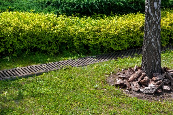 Residential Landscape Drainage in Bellingham