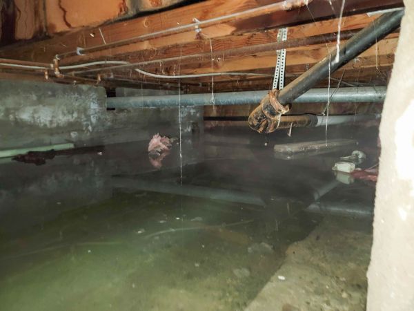Cost of Crawlspace Drainage in Bellingham