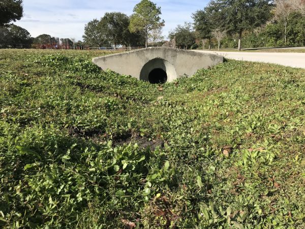 Cost of Swale Drainage Service in Bellingham