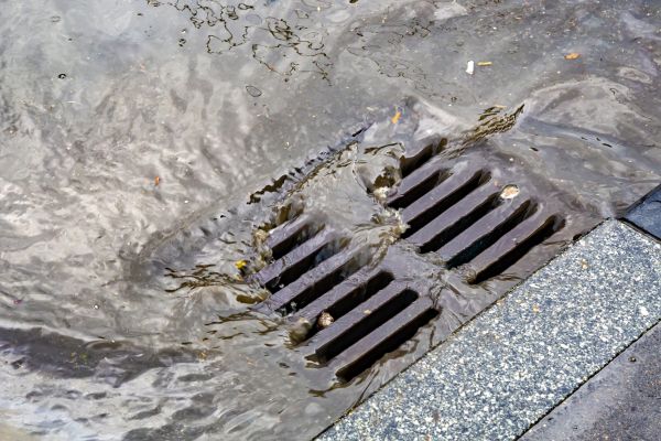 Cost of Drainage Basin Installation in Bellingham